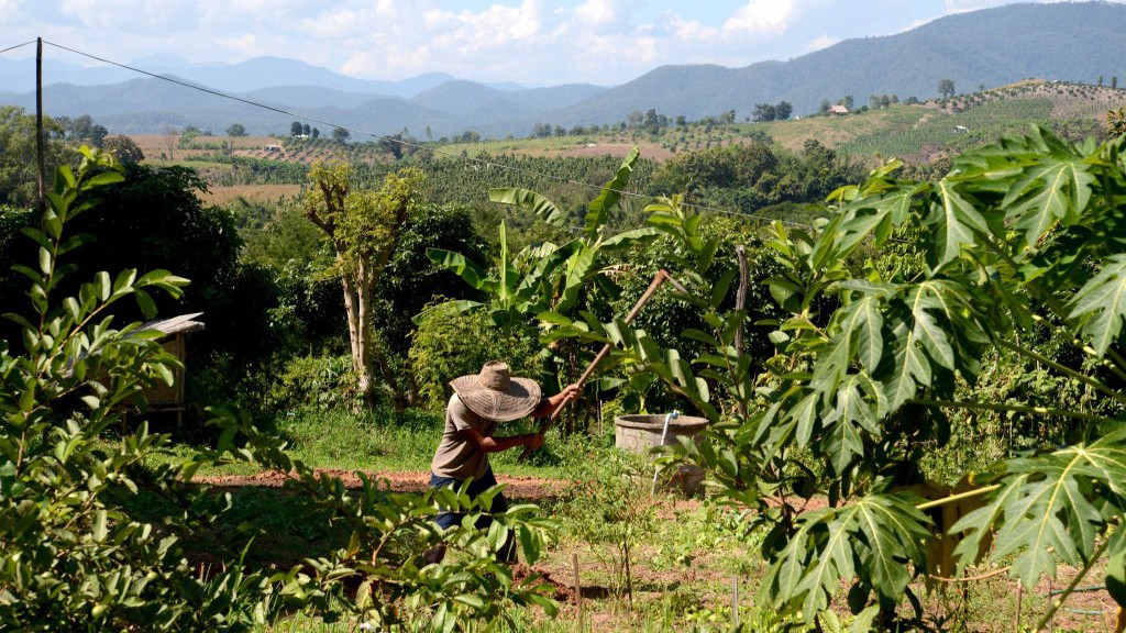 Hợp tác nghiên cứu xây dựng mô hình Nông nghiệp bền vững (Permanent Culture)